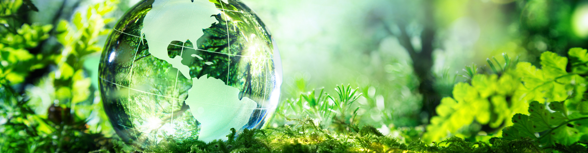 ENVIROMENTAL POLICY